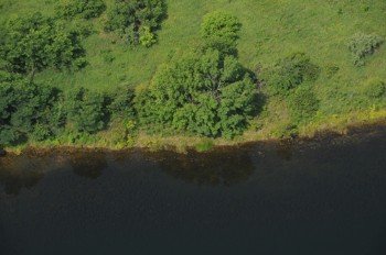 Property photo 20 - 1,025 Acres in 24 Tracts - Exellent Recreation Opportunity - Potential Building Sites - 11 Lakes & Ponds
